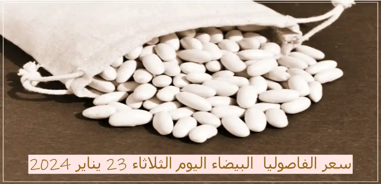 سعر الفاصوليا البيضاء في مصر اليوم 23 يناير 2024